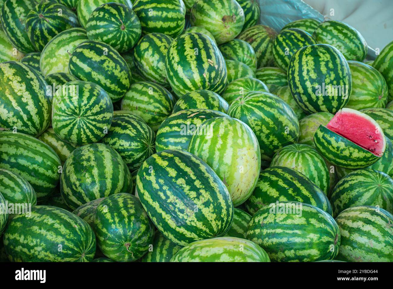 Un'incredibile gamma di anguria matura esposta al Siyob Bazaar a Samarcanda, Uzbekistan, una tappa notevole sulla storica via della Seta. Noti per la loro swe Foto Stock