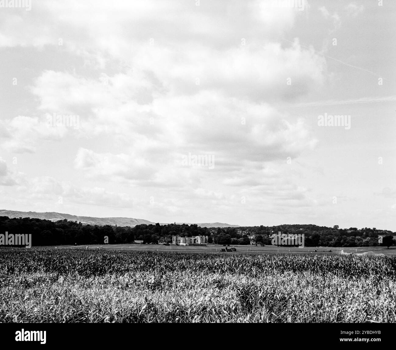 Cowdray Park, Midhurst, Inghilterra, Regno Unito. Foto Stock