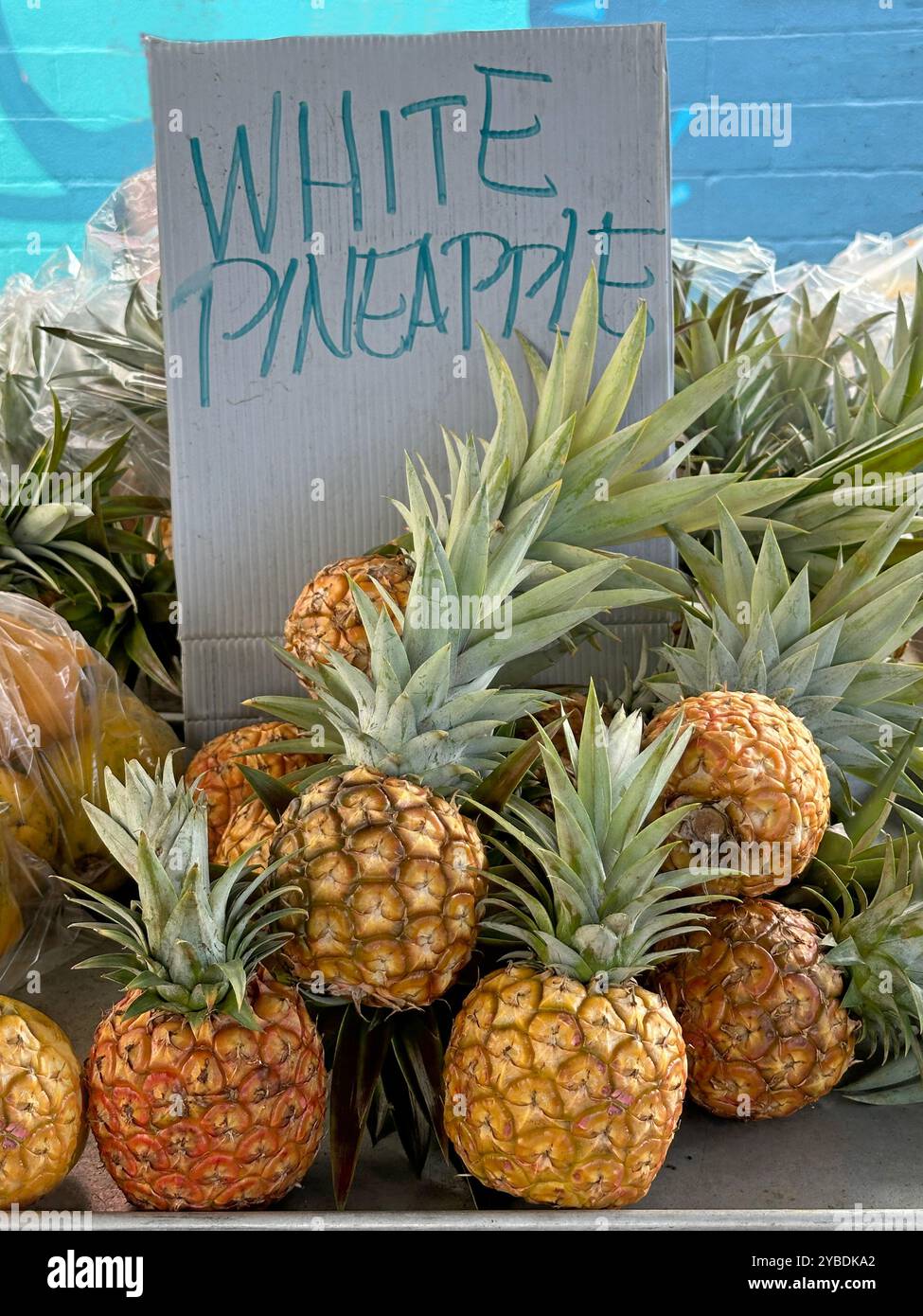 Gli ananas bianchi sono esposti, in vendita in un mercato agricolo delle Hawaii. L'interno di questo varietale è bianco, e il sapore è più dolce e meno acido - Immagine stock catturata con smartphone