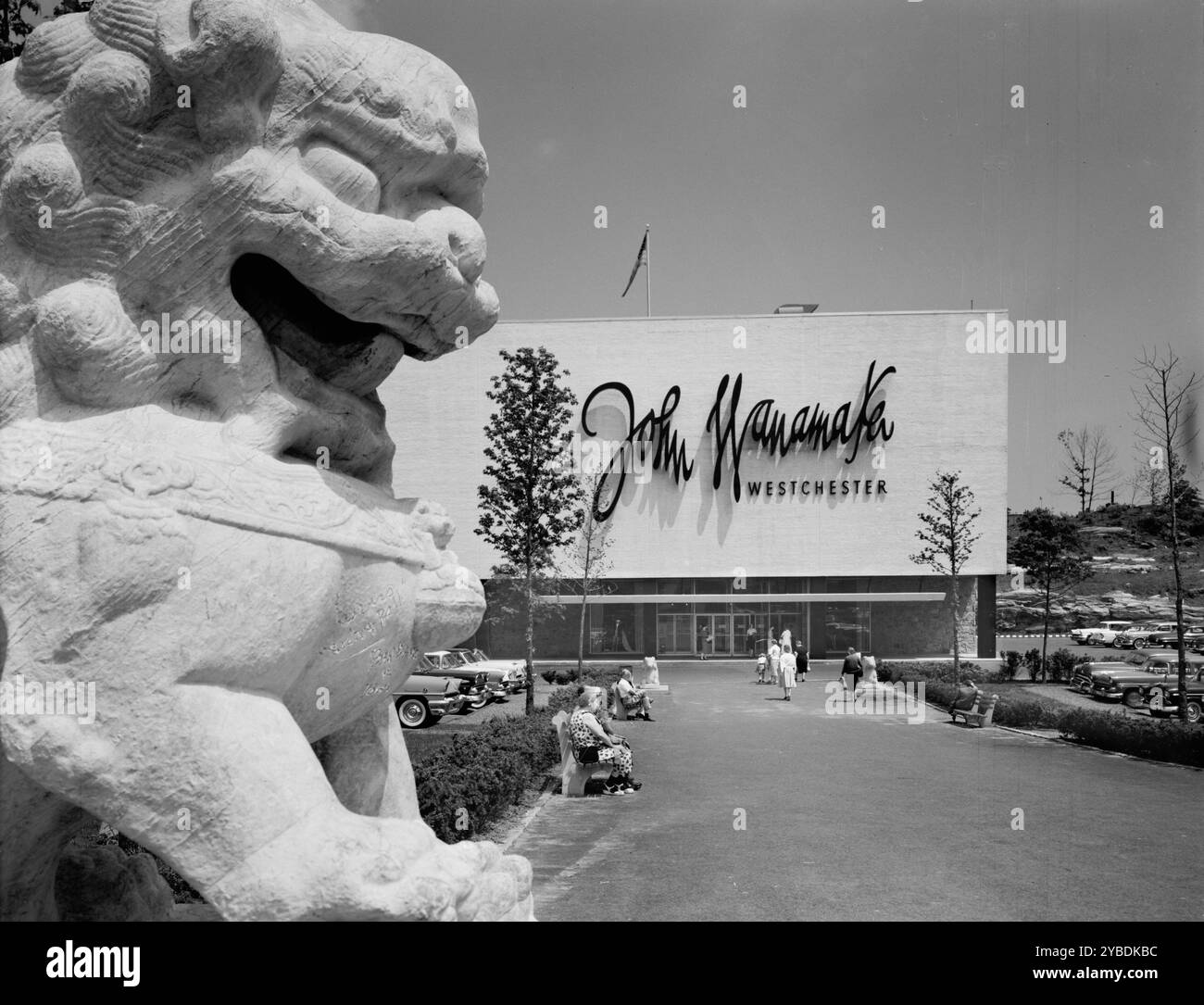 Centro commerciale Cross County, 1956. Foto Stock