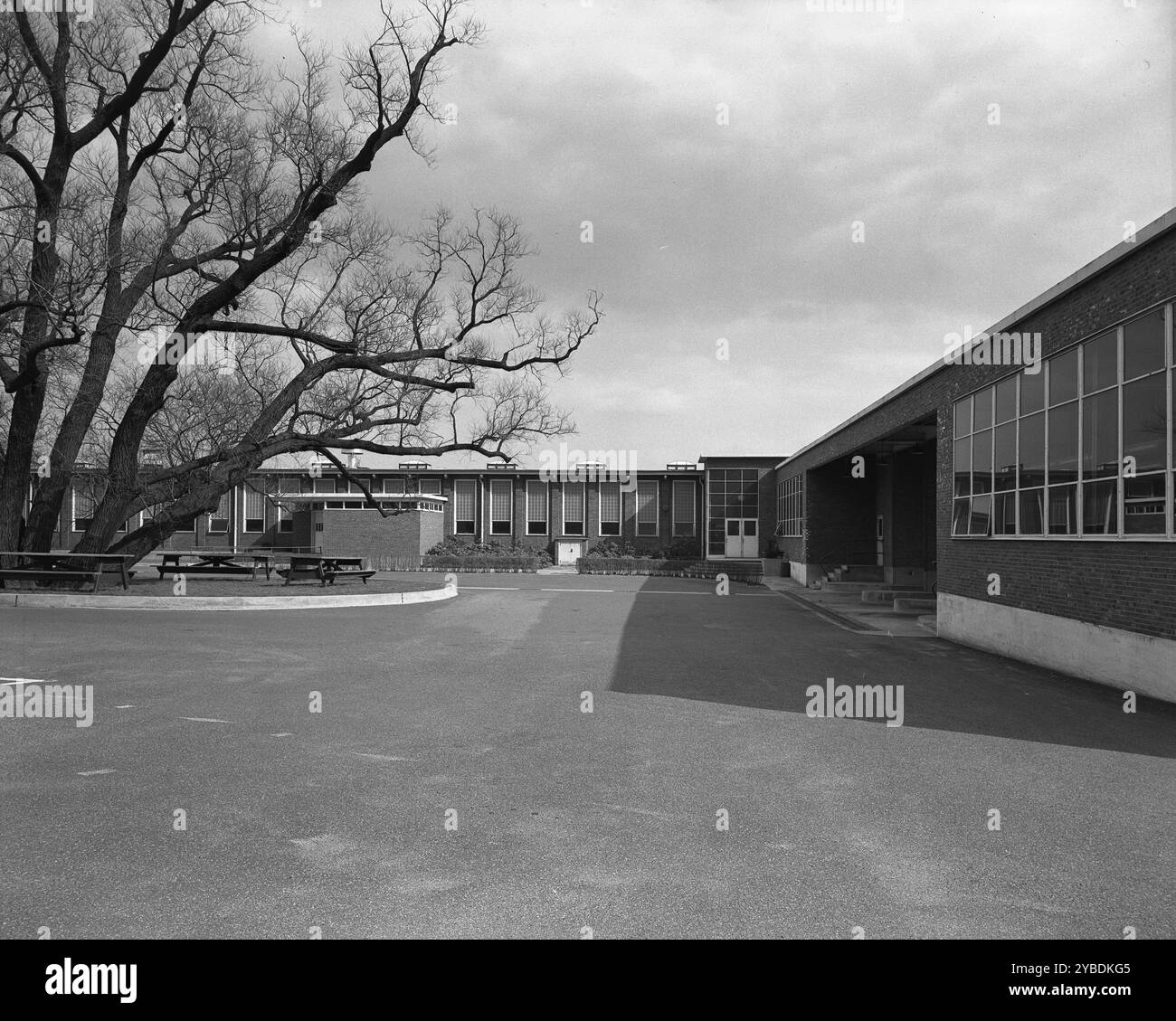 Becton Dickinson &amp; Co., Rutherford, New Jersey, 1954. Foto Stock