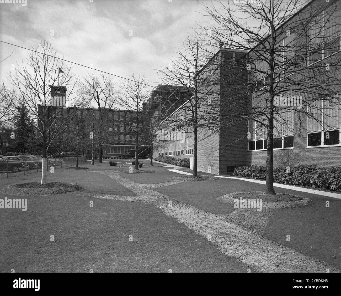 Becton Dickinson &amp; Co., Rutherford, New Jersey, 1954. Foto Stock