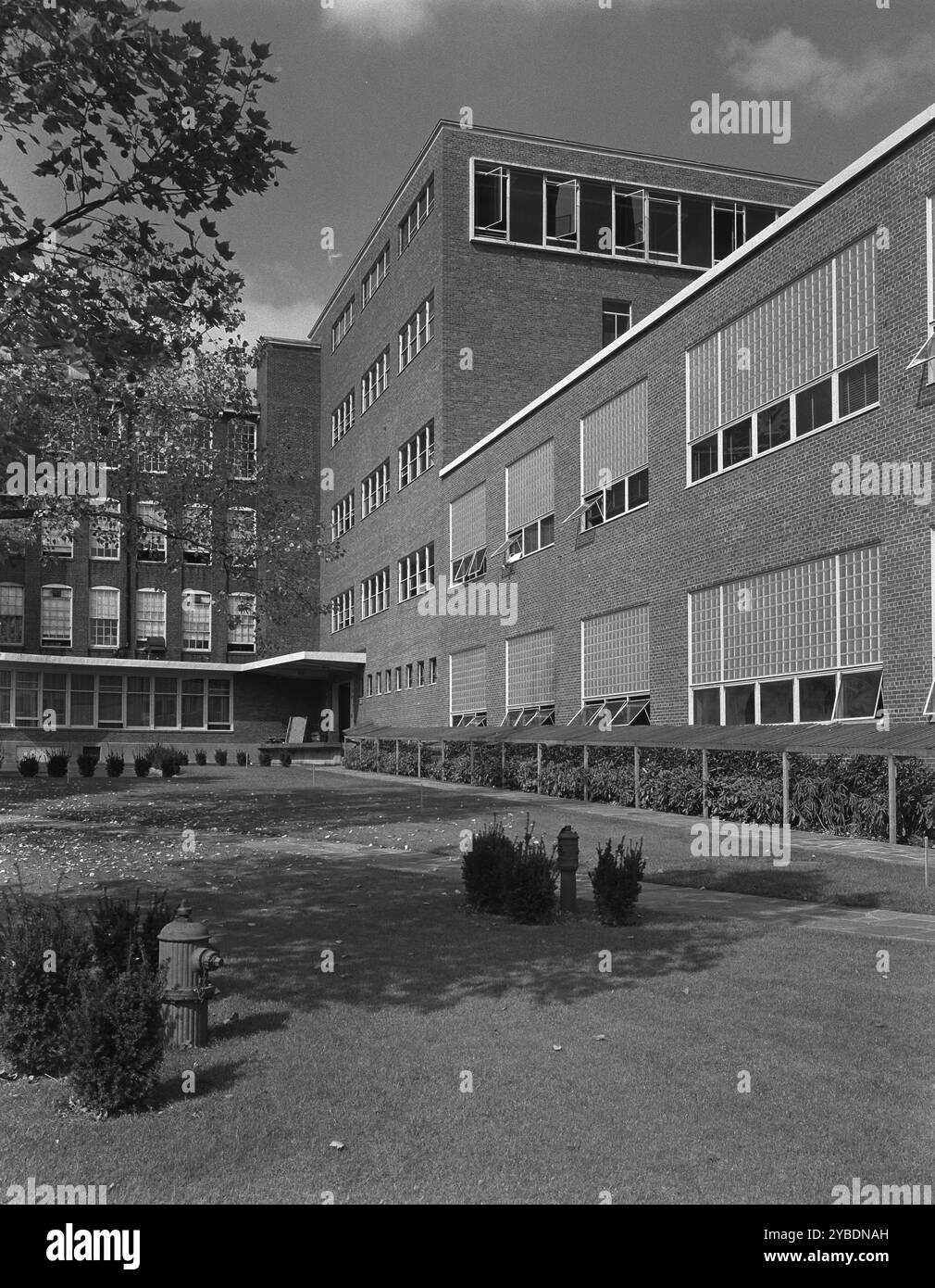 Becton Dickinson, East Rutherford, New Jersey, 1953. Foto Stock