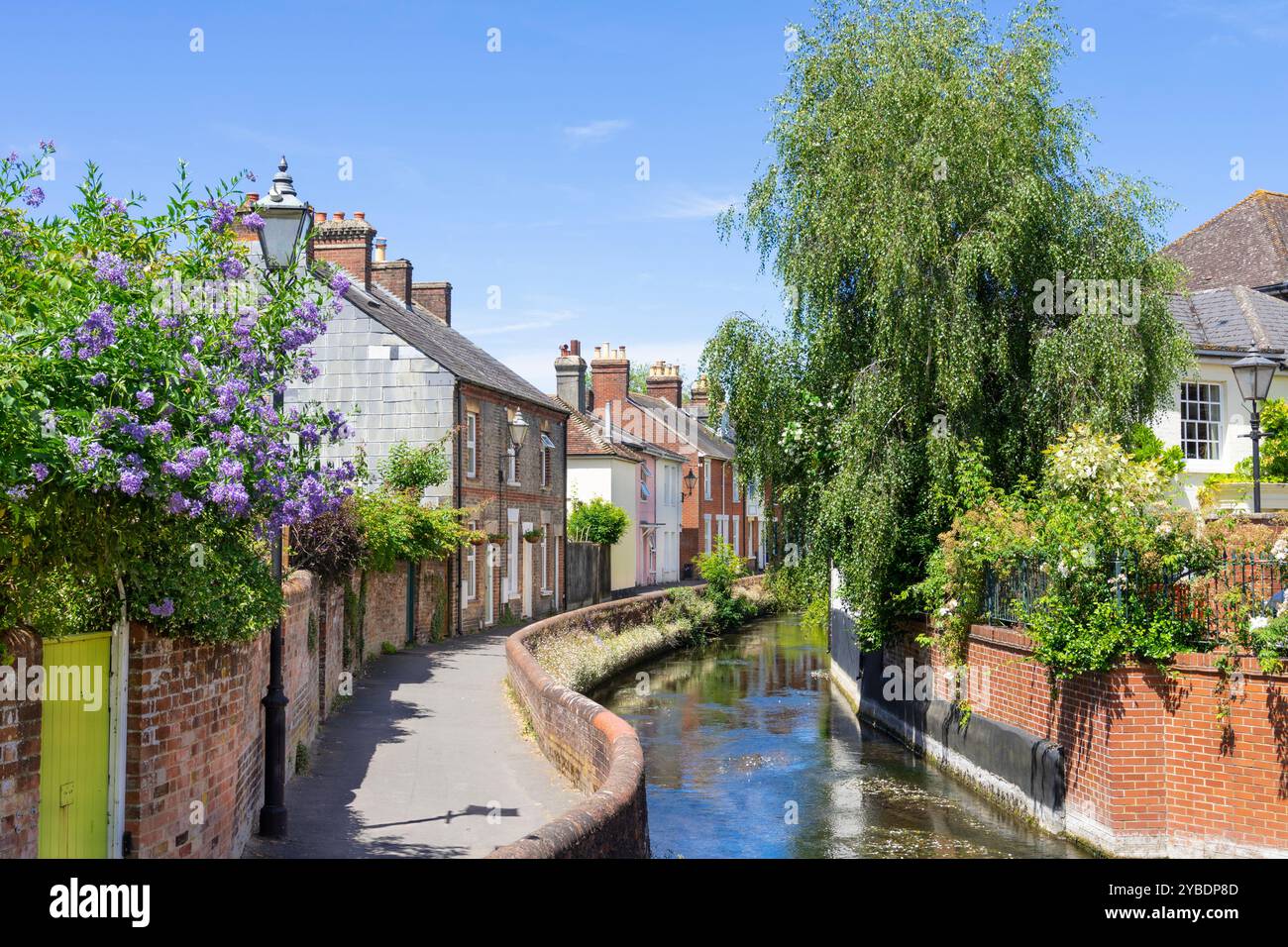 Percorso della corsia d'acqua che conduce alle case lungo il fiume Avon o il Salisbury Avon che attraversa Salisbury Regno Unito Salisbury Wiltshire Salisbury Inghilterra Regno Unito GB Europa Foto Stock