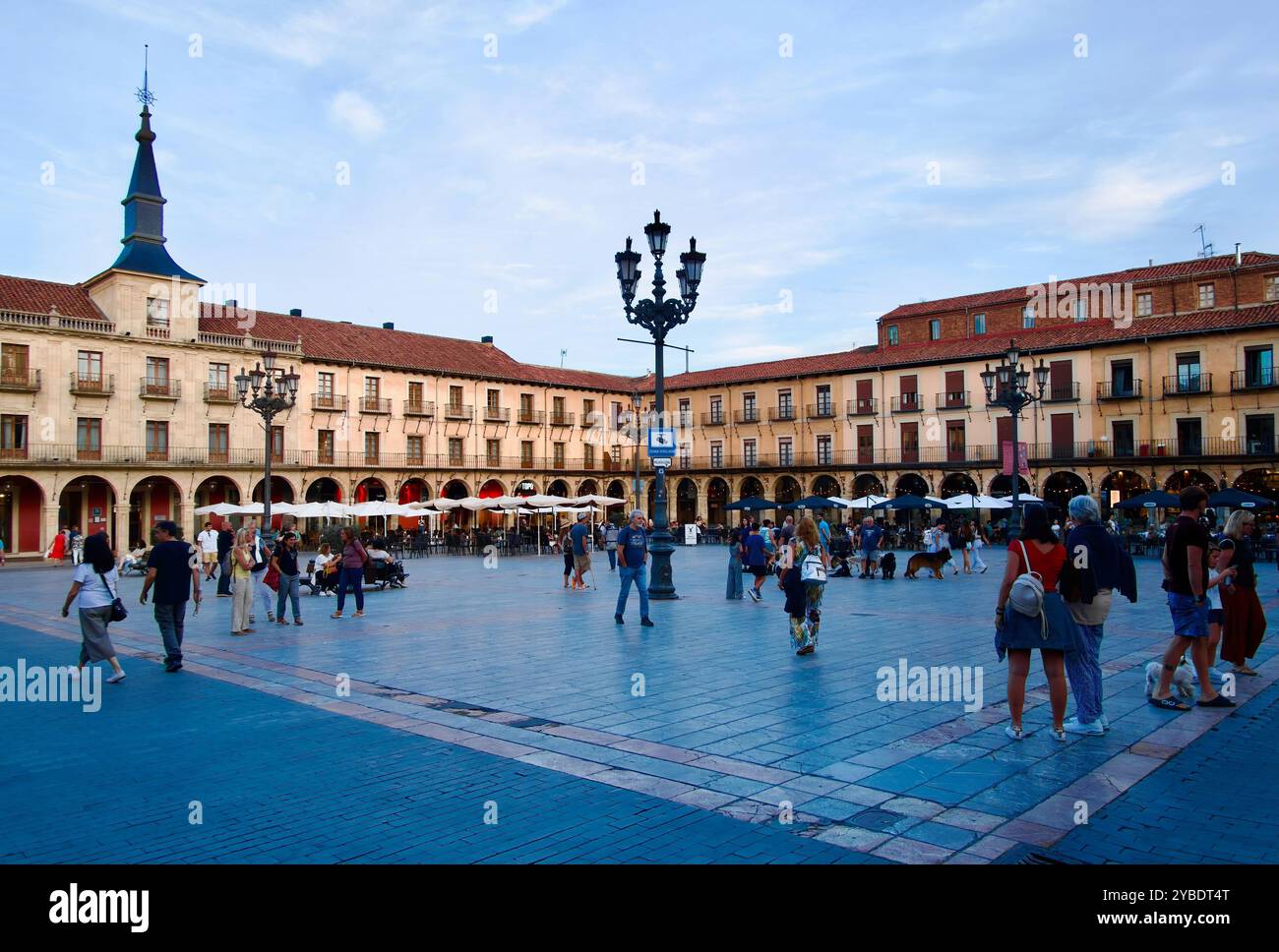 Proprietari di cani con una varietà di razze di cani durante una sessione di allenamento serale in Plaza Mayor Barrio Humedo Leon Castiglia e Leon Spagna Europa Foto Stock