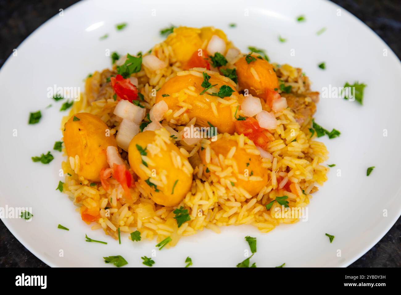 Piatto tradizionale brasiliano di pollo con pequi (caryocar brasiliense) e riso Foto Stock