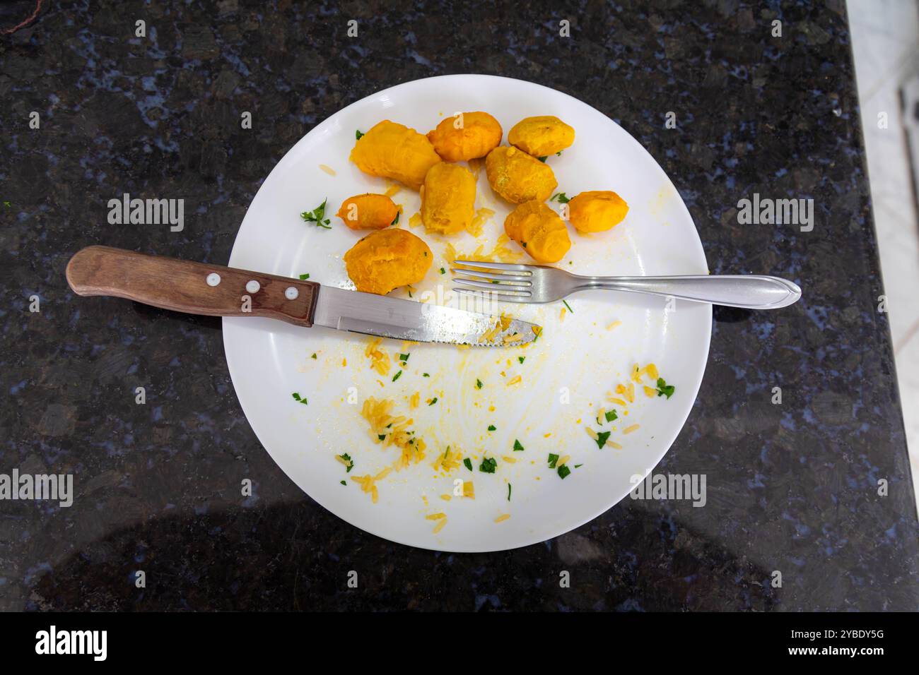 Piatto tradizionale brasiliano di pollo con pequi (caryocar brasiliense) e riso Foto Stock