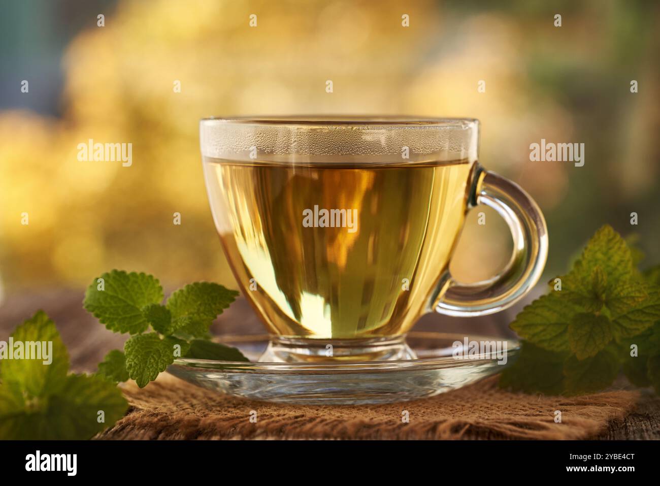 Una tazza di tè alle erbe con melissa fresca o balsamo al limone su un tavolo all'aperto Foto Stock