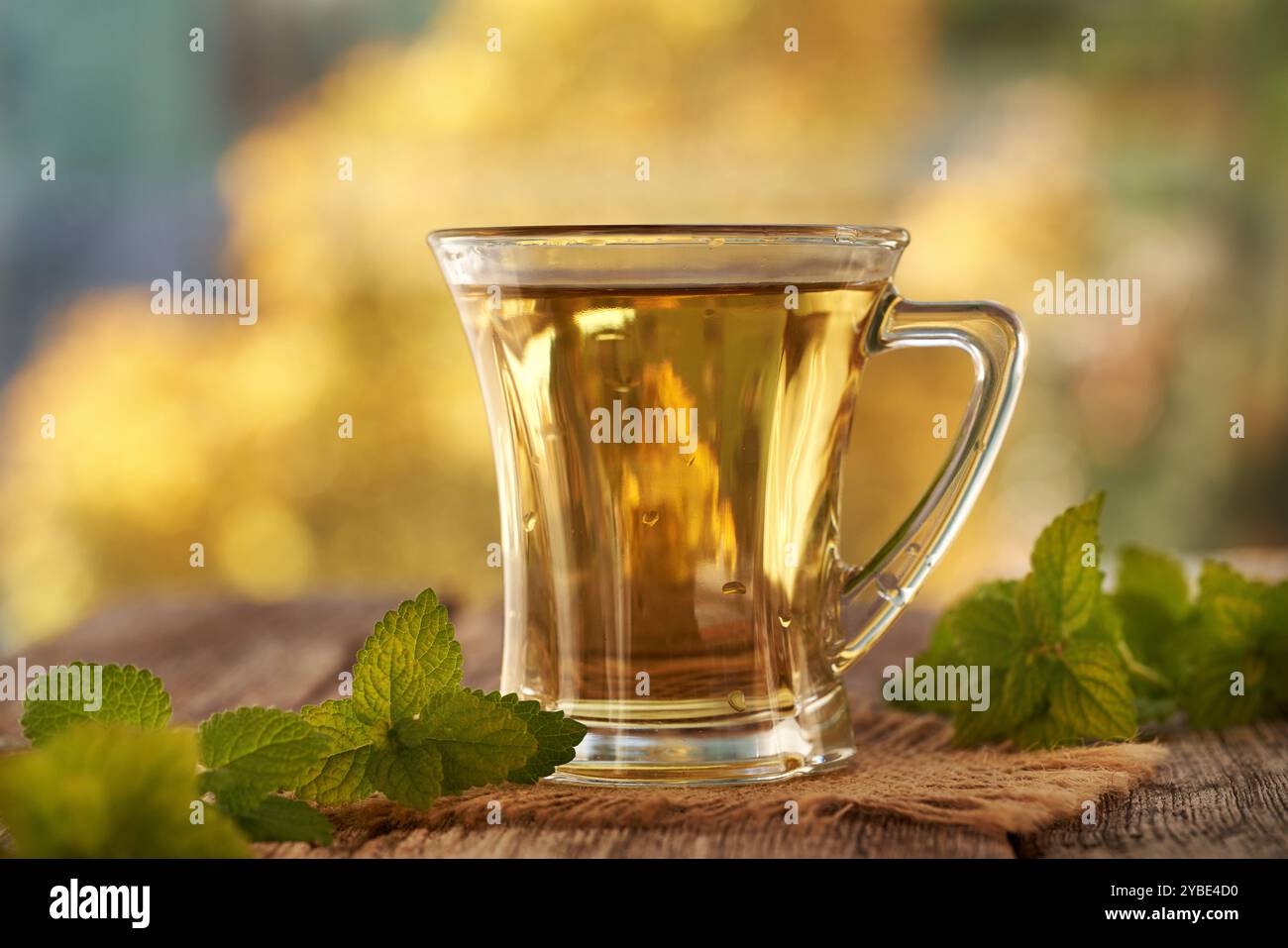 Una tazza di tè alle erbe con melissa fresca o balsamo al limone su un tavolo all'aperto Foto Stock