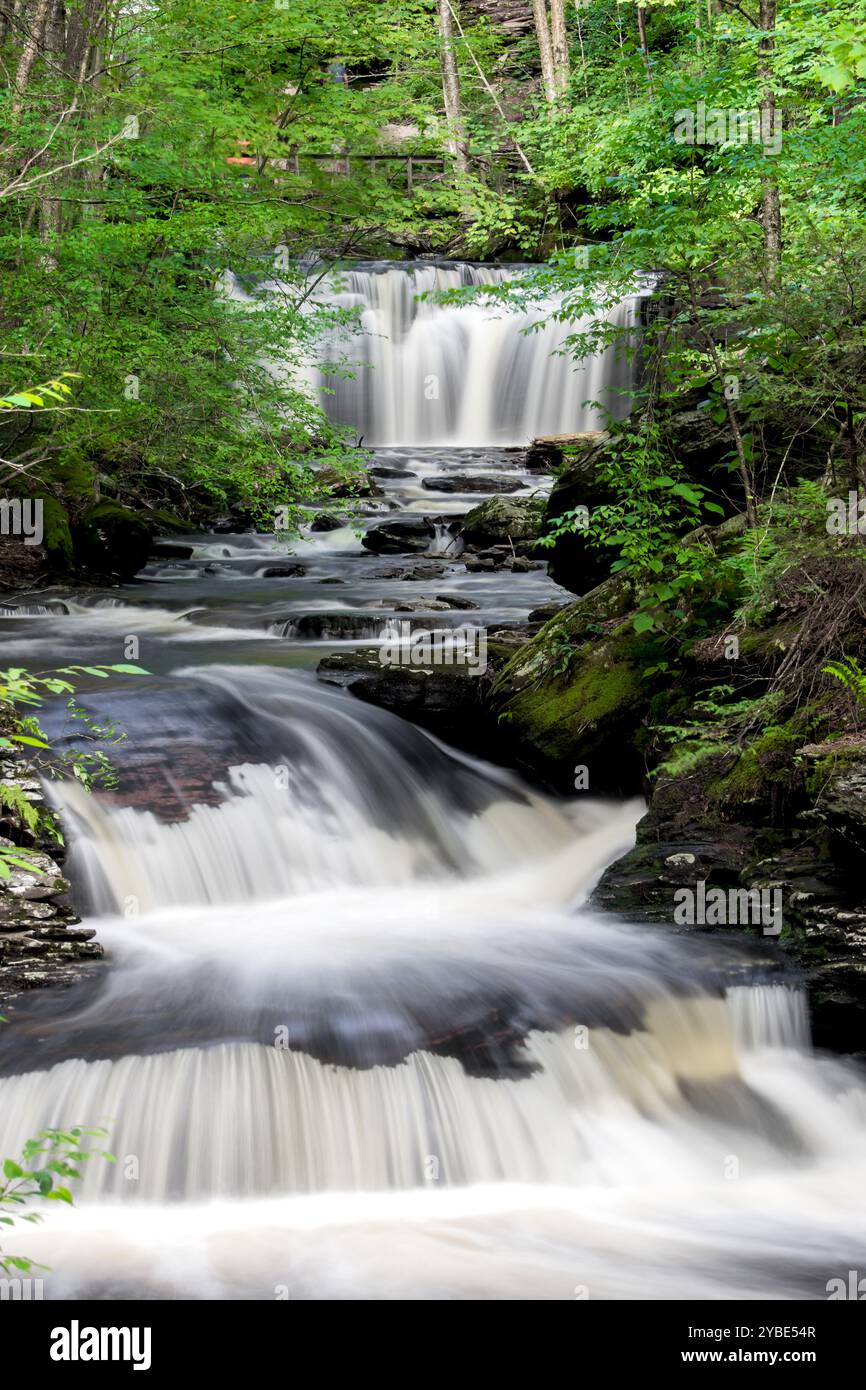 Cascate nel panoramico parco statale Ricketts Glen, Pennsylvania, in estate. Foto Stock