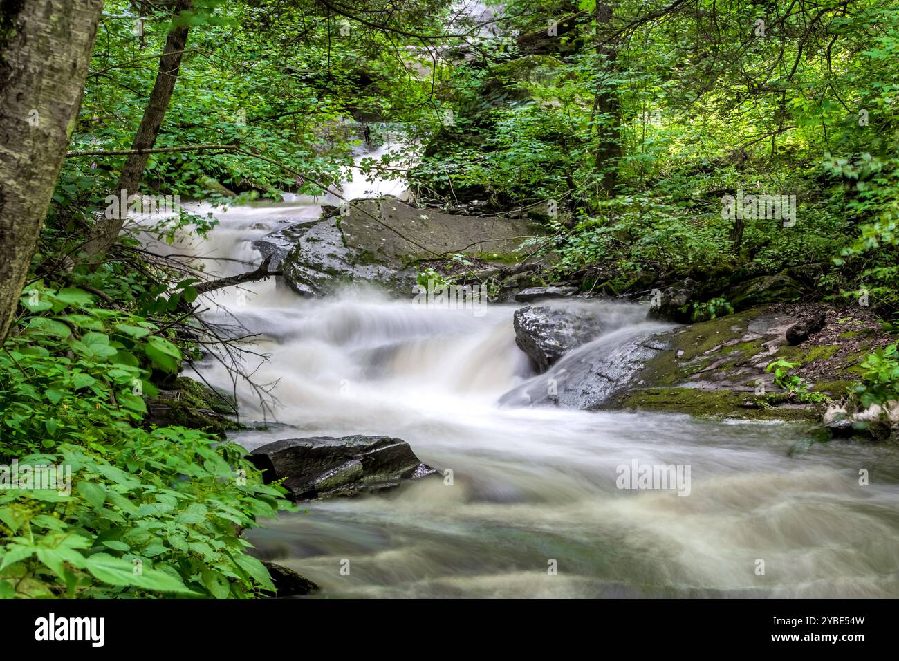 Cascate nel panoramico parco statale Ricketts Glen, Pennsylvania, in estate. Foto Stock