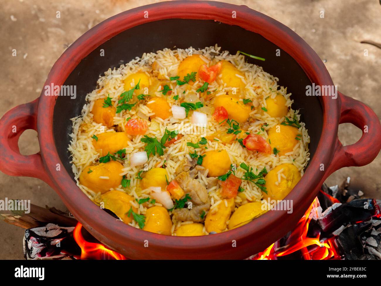 Piatto tradizionale brasiliano di pollo con pequi (caryocar brasiliense) e riso Foto Stock