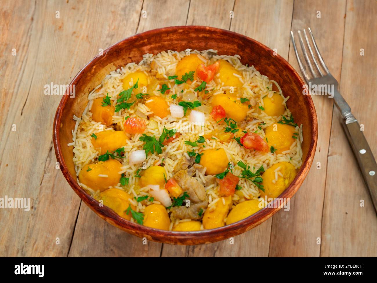 Piatto tradizionale brasiliano di pollo con pequi (caryocar brasiliense) e riso Foto Stock