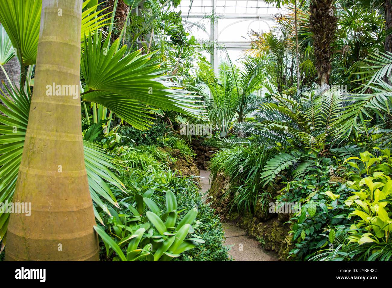Phipps Conservatory, Green House e Botanical Gardens a Pittsburgh, Pennsylvania. Foto Stock