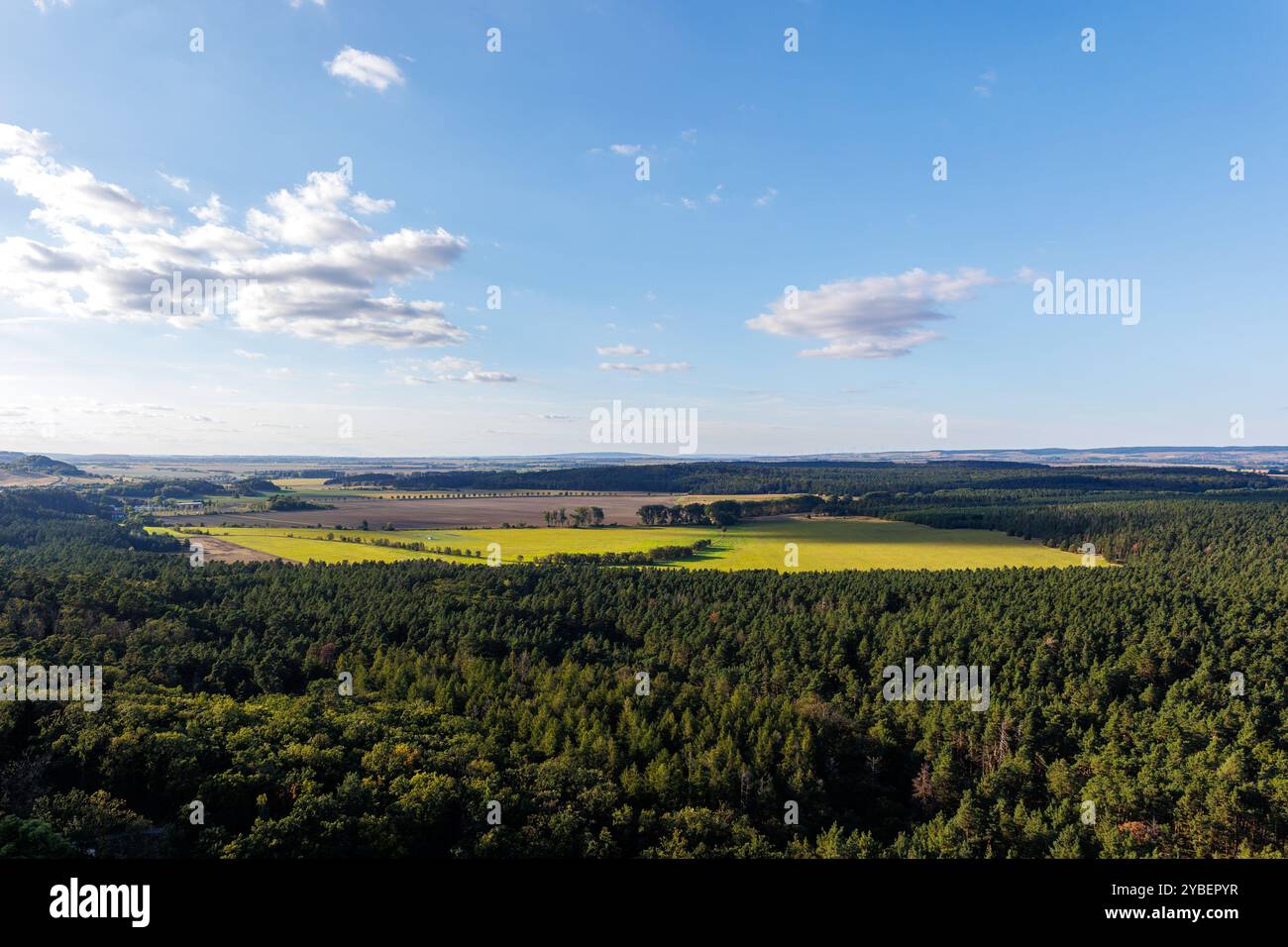 Vista mozzafiato dalle rovine del castello di Regenstein ad Harz, in Germania, con vaste foreste, terreni agricoli e un cielo azzurro limpido con nuvole sparse Foto Stock