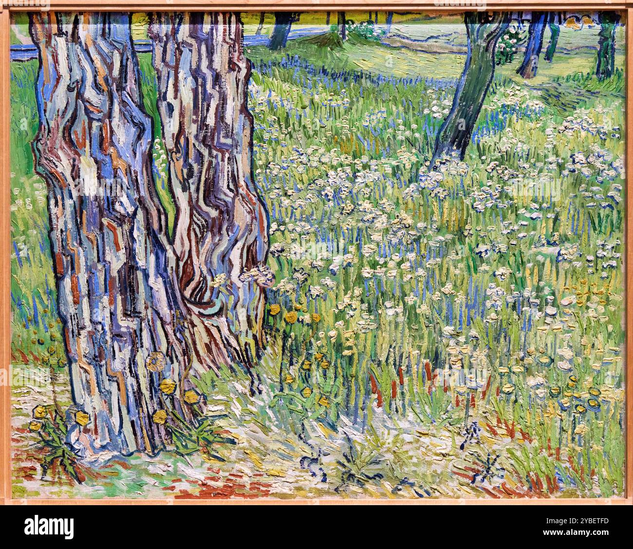 Tree Trunks in the Grass, 1890, Vincent Van Gogh (1853-1890), Poets & Lovers Exhibition, National Gallery, Londra, Regno Unito. Foto Stock
