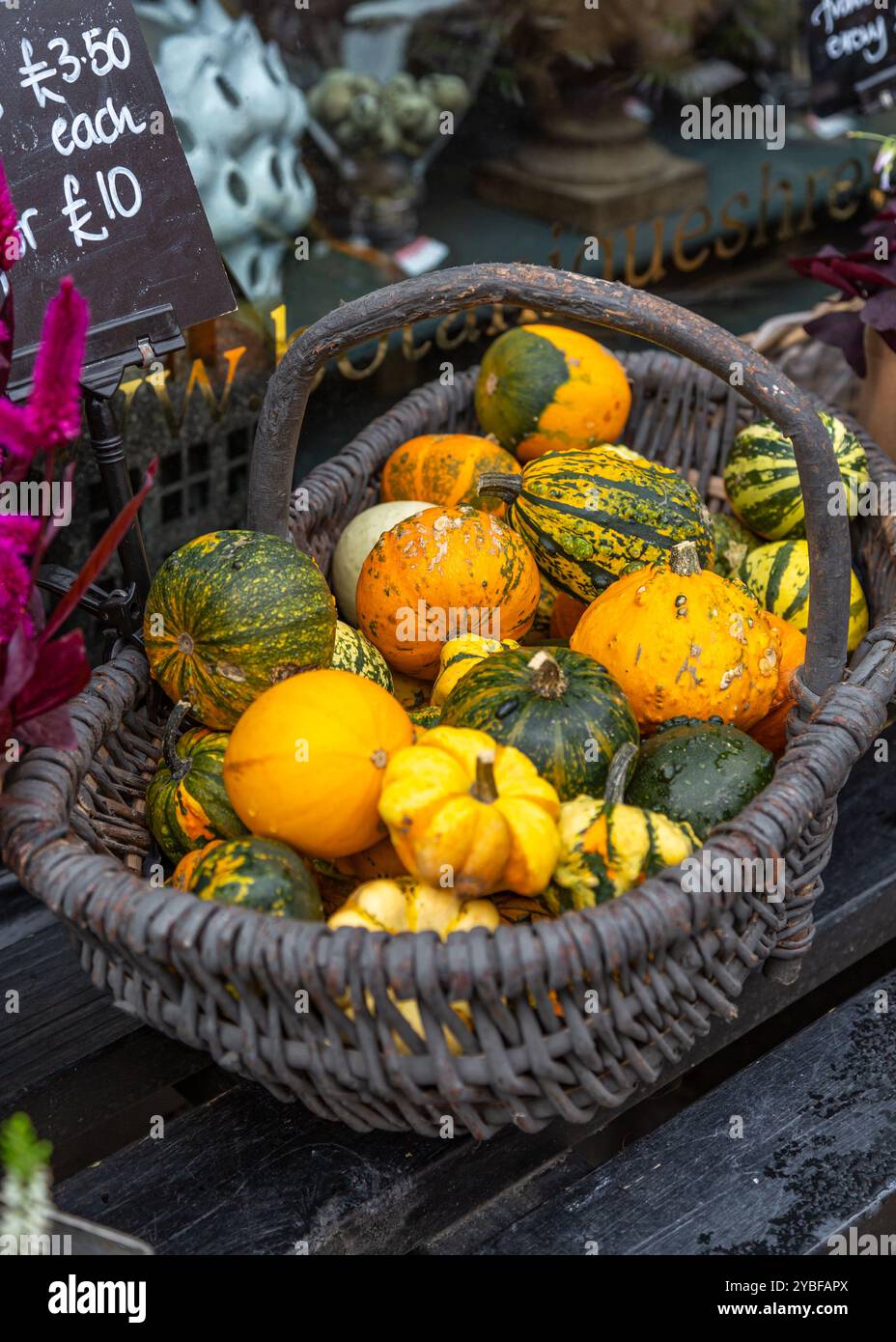 Splendido e vivace cestino di frutta sul fronte del negozio. Foto Stock