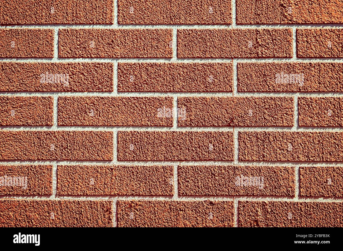 Un muro di mattoni è una struttura robusta fatta di mattoni e Malta. Fornisce privacy, sicurezza e fascino estetico agli edifici. durata e tempi Foto Stock
