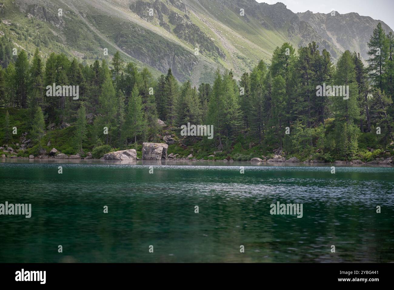 Due grandi rocce che si riflettono nelle tranquille acque del lago Saoseo, circondate da lussureggianti alberi della foresta alpina Foto Stock