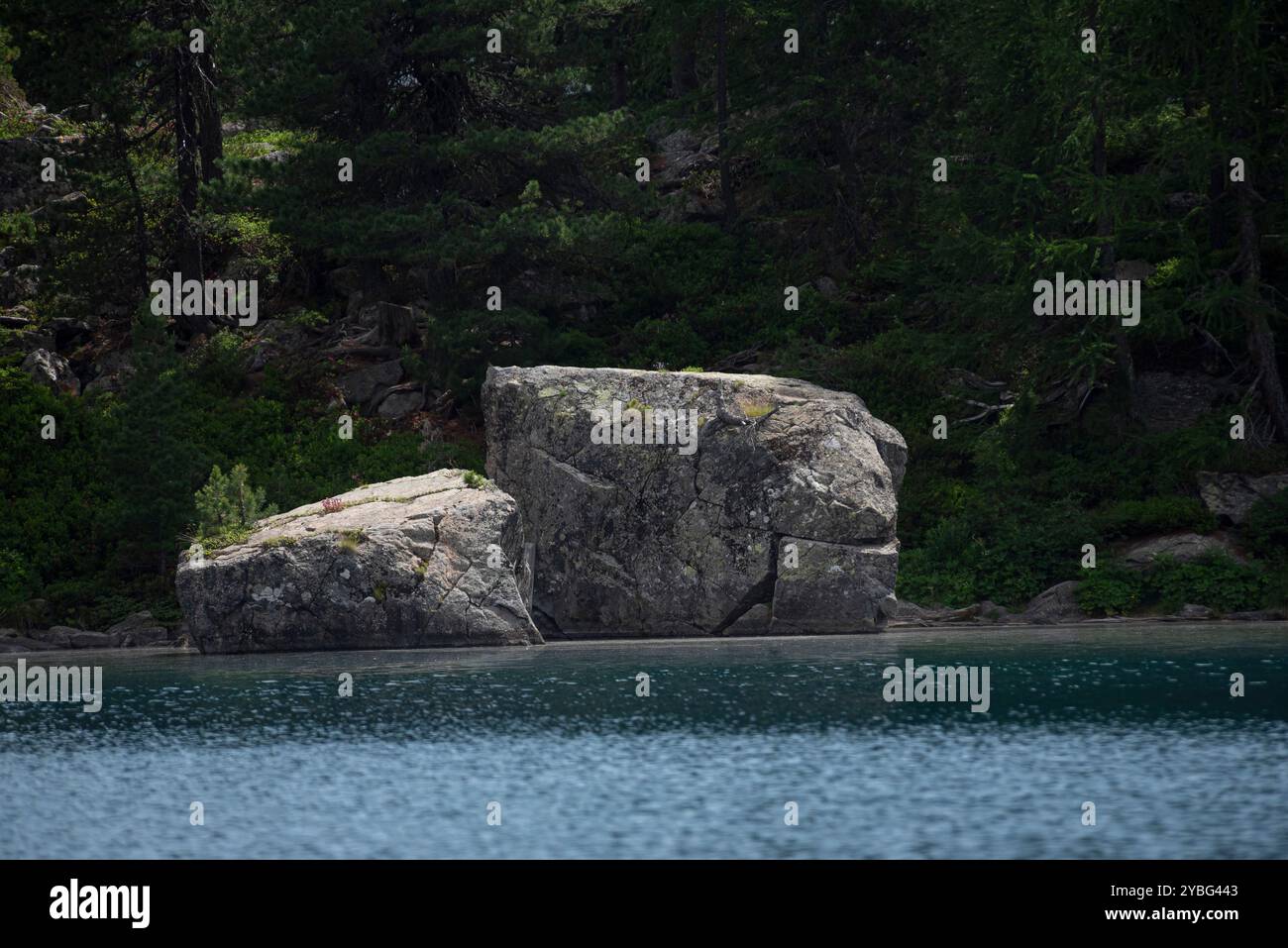 Due grandi rocce che si riflettono nelle tranquille acque del lago Saoseo, circondate da lussureggianti alberi della foresta alpina Foto Stock