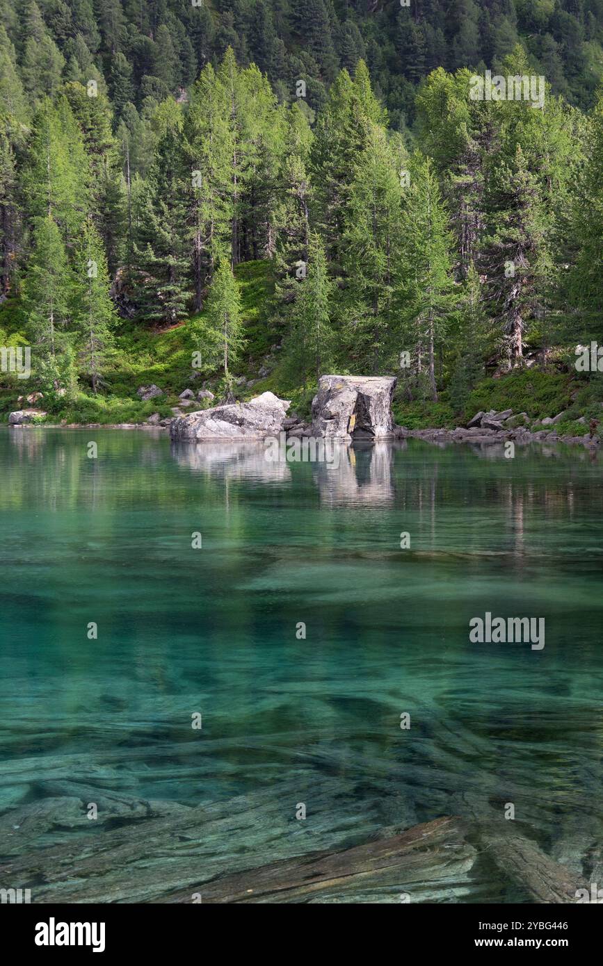 Due grandi rocce che si riflettono nelle tranquille acque del lago Saoseo, circondate da lussureggianti alberi della foresta alpina Foto Stock