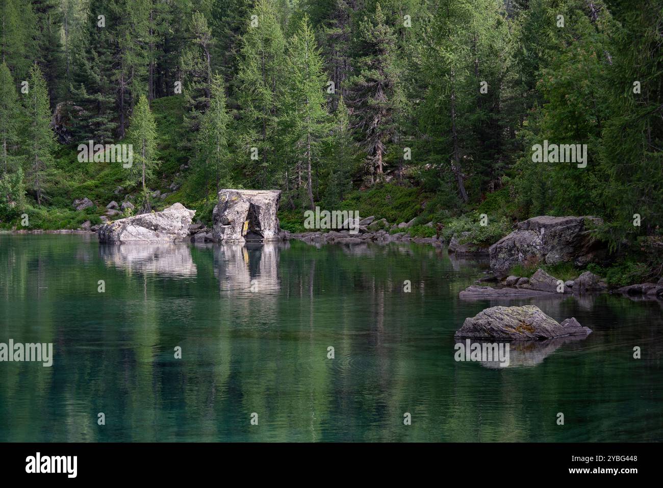 Due grandi rocce che si riflettono nelle tranquille acque del lago Saoseo, circondate da lussureggianti alberi della foresta alpina Foto Stock