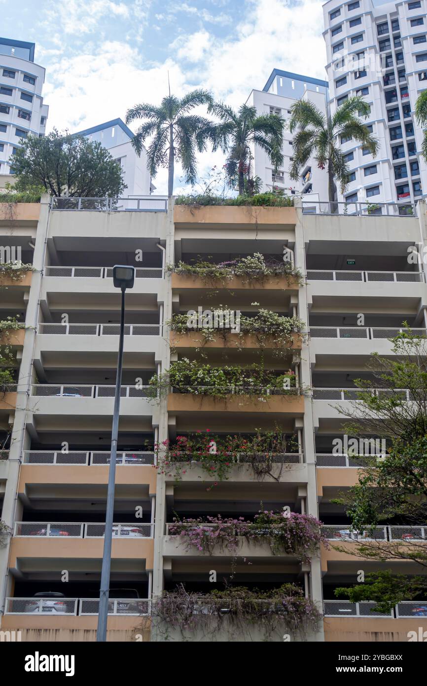 Piante, palme sul tetto, complesso di appartamenti, edificio residenziale, quartiere Bukit Merah Singapore Foto Stock