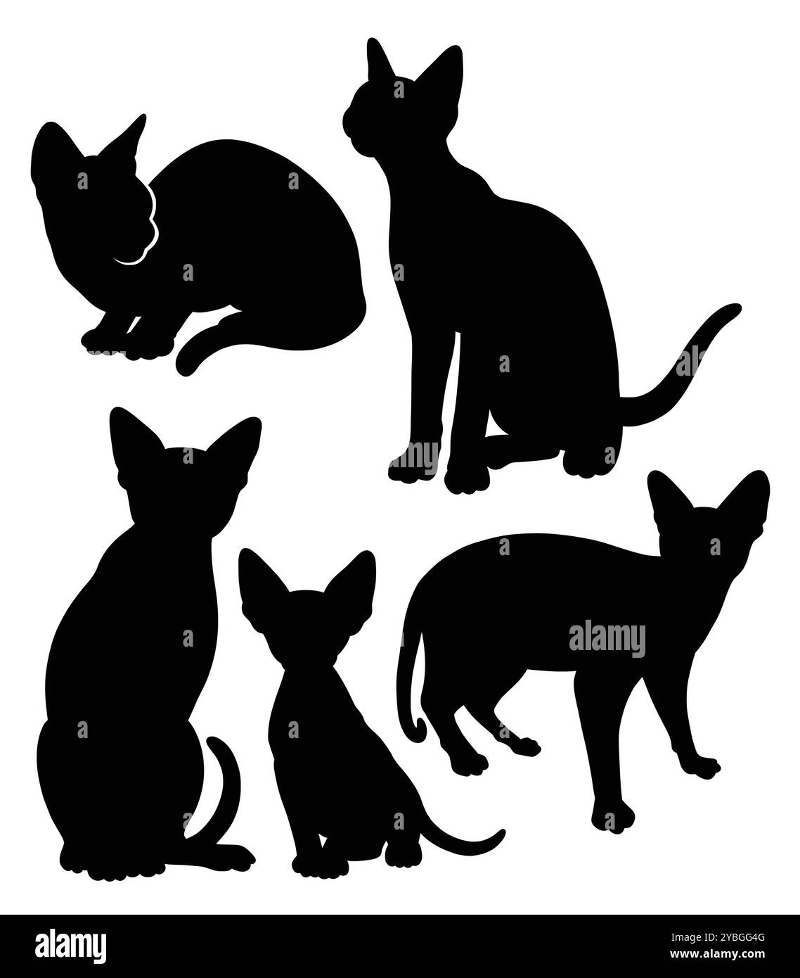 sagoma in posa per animali domestici Illustrazione Vettoriale