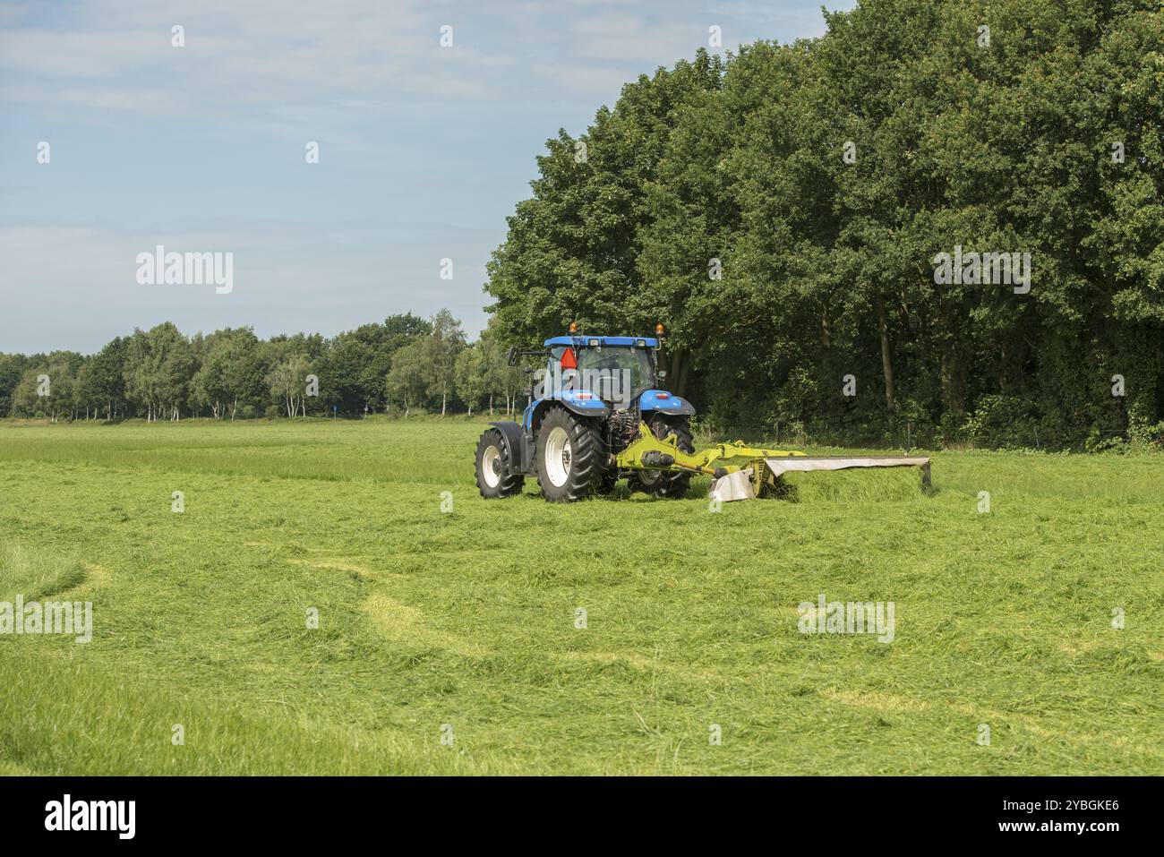 Agricoltura, pascolo falciatura con trattore blu Foto Stock