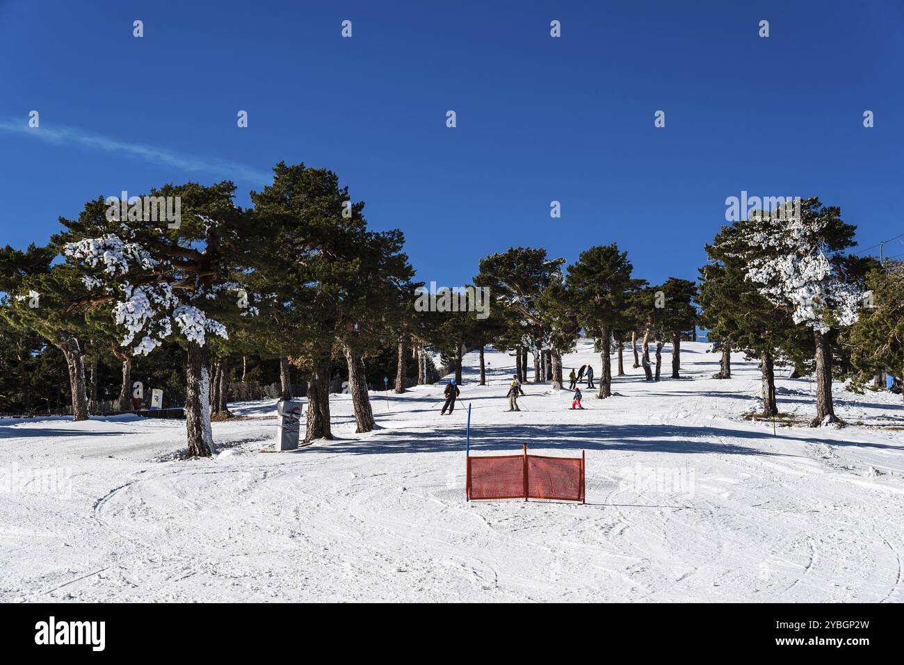 Navacerrada, Spagna, 7 dicembre 2017: Sciatori che sciano in discesa nella località sciistica della catena montuosa di Guadarrama in inverno una giornata di sole con cielo azzurro, Euro Foto Stock