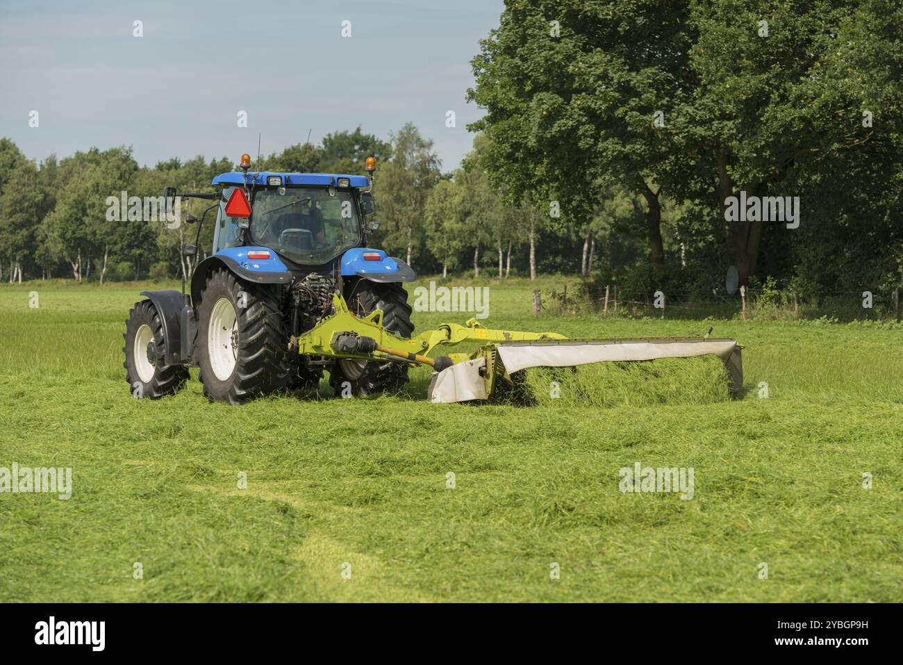 Agricoltura, pascolo falciatura con trattore blu Foto Stock
