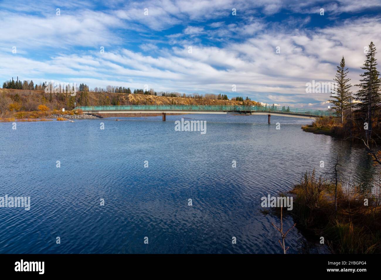 Passerella pedonale equestre sul fiume Blue Elbow, Weaselhead Flats Natural Environment Park Glenmore Reservoir Southwest Calgary Alberta Canada Foto Stock