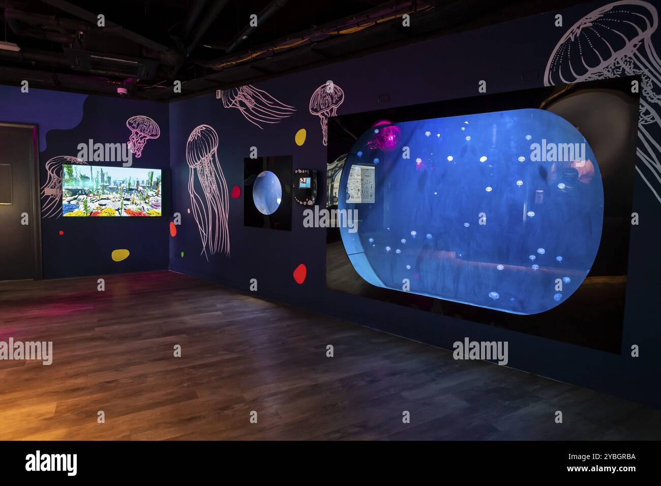 Sala espositiva, acquario, Odysseo Oceanarium Mauritius, acquario espositivo, grande acquario, città vecchia, Port Louis, Mauritius, Africa Foto Stock