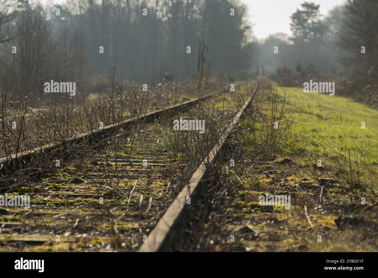 Vecchia linea ferroviaria Foto Stock