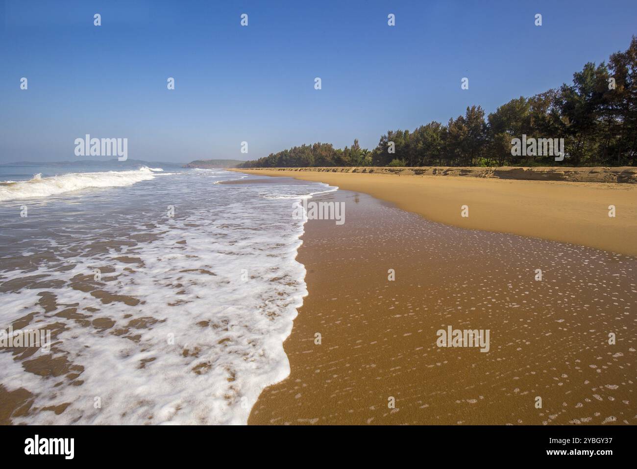 Spiaggia di Nirvana nel distretto di Kumta (stato del Karnataka) / vista idilliaca su sabbia gialla e onde miti al mattino soleggiato e territorio ecologico vicino a Foto Stock