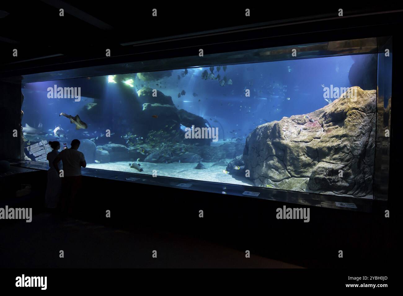 Sala espositiva, acquario, Odysseo Oceanarium Mauritius, acquario espositivo, grande acquario, città vecchia, Port Louis, Mauritius, Africa Foto Stock