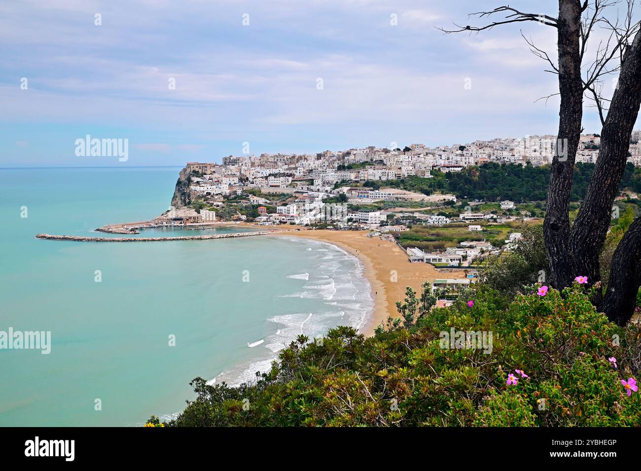 Veduta di Peschici nel Gargano, con il promontorio e la baia di Peschici Foto Stock