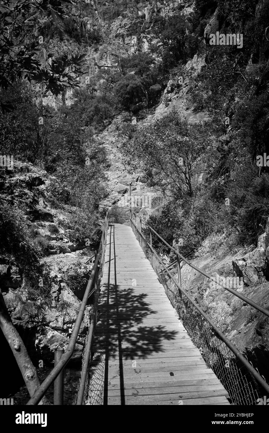 Foto idilliache della passerella in legno attraverso il Green Canyon contro un cielo blu Foto Stock