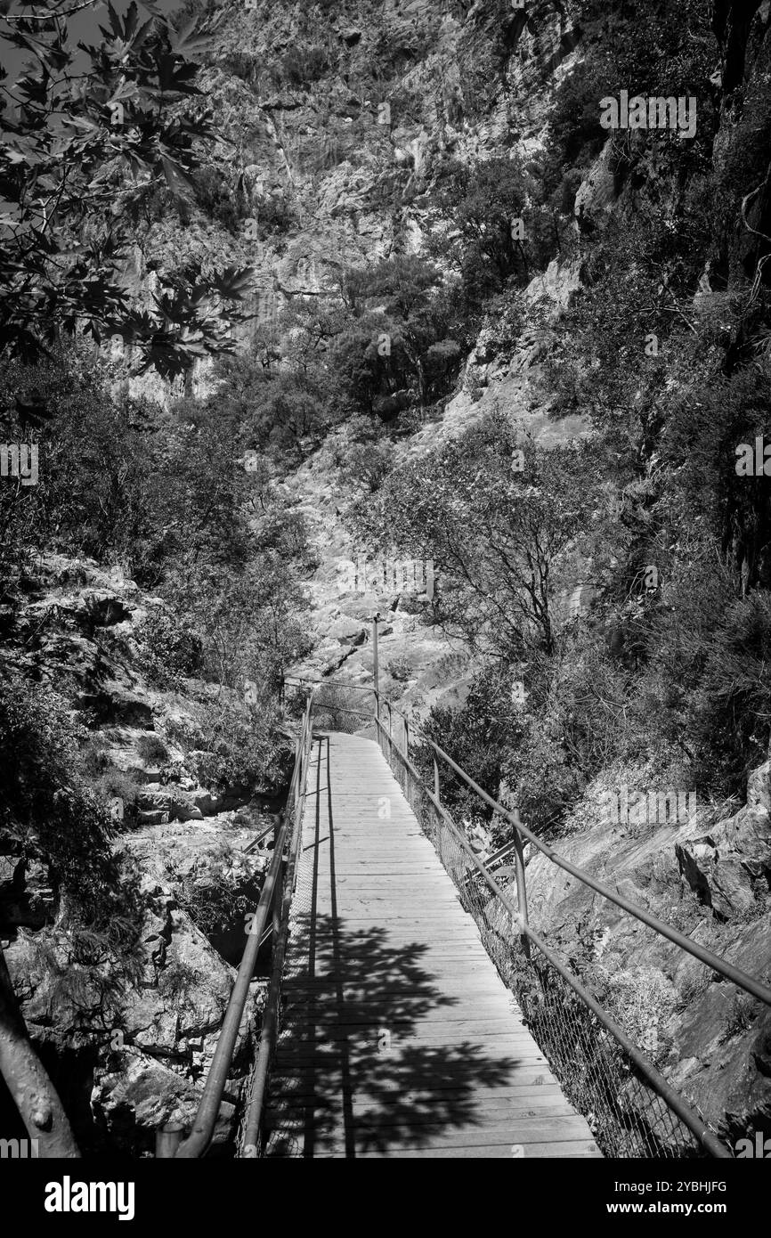 Idilliaco B&N / foto monocromatiche della passerella in legno attraverso il Green Canyon contro un cielo blu Foto Stock