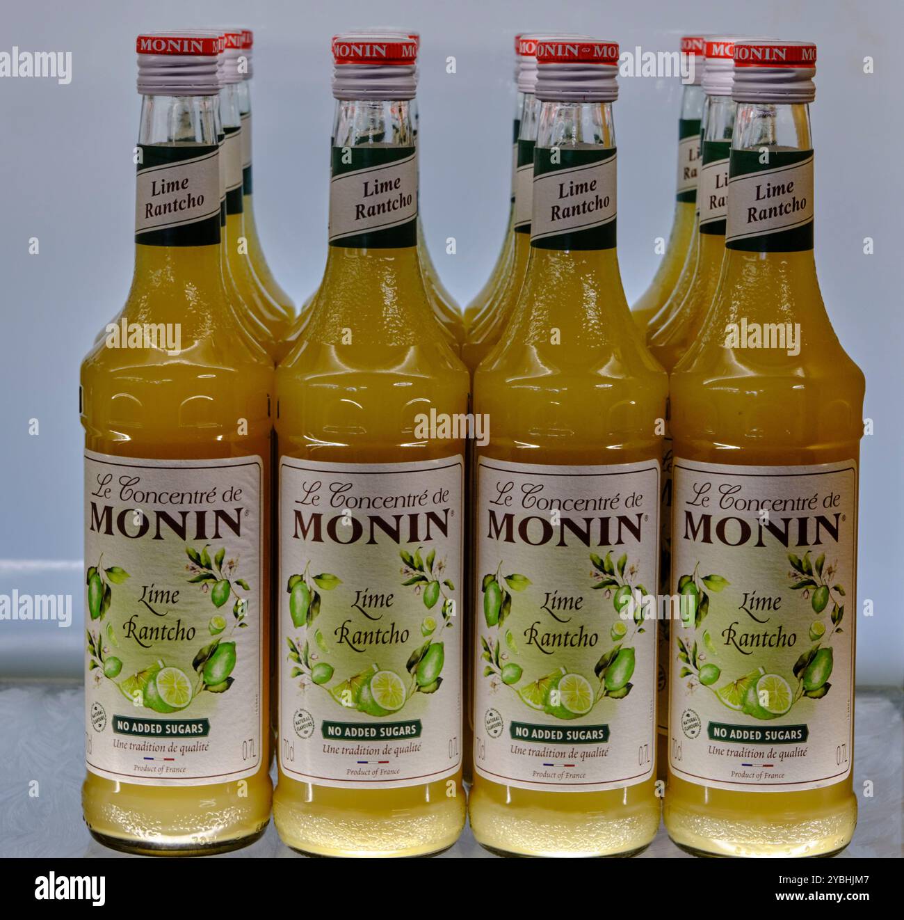 Francia, Cher, Bourges, Villa Monin, negozio del famoso sirop Monin Foto Stock