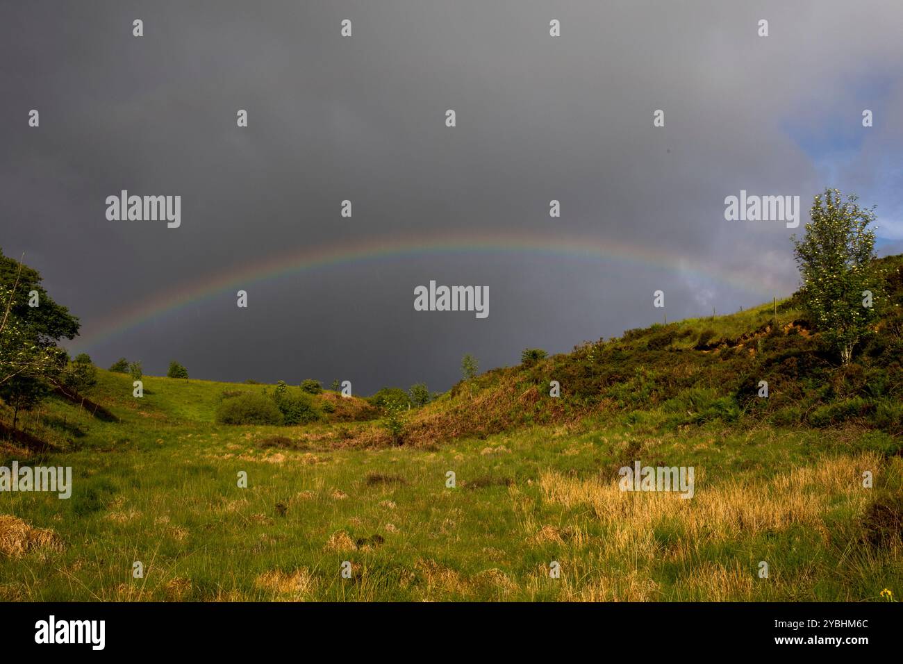L'arcobaleno sembra ponte tra due lati di una piccola valle. Powys, Galles. Maggio. Foto Stock