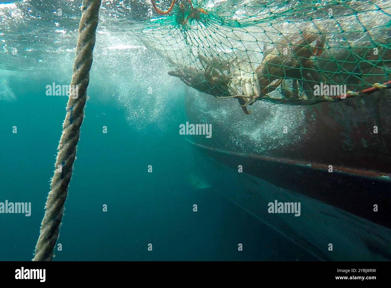 (241019) -- PECHINO, 19 ottobre 2024 (Xinhua) -- questa foto non datata mostra una nave del gruppo granchio russo che effettua la pesca d'altura. La città di Hunchun, nella provincia di Jilin nella Cina nord-orientale, ha un soprannome di "capitale dei granchi" tra i netizen. Ogni giorno, camion carichi di pesce fresco importato entrano in città tramite un checkpoint terrestre al confine con la Russia. Il granchio reale russo, noto anche come granchio Kamchatka, è il prodotto principale. Attraverso le reti logistiche ferroviarie o aeronautiche, i grossisti di Hunchun possono promettere la consegna dei granchi in giornata agli acquirenti di tutto il paese al più presto. Foto Stock