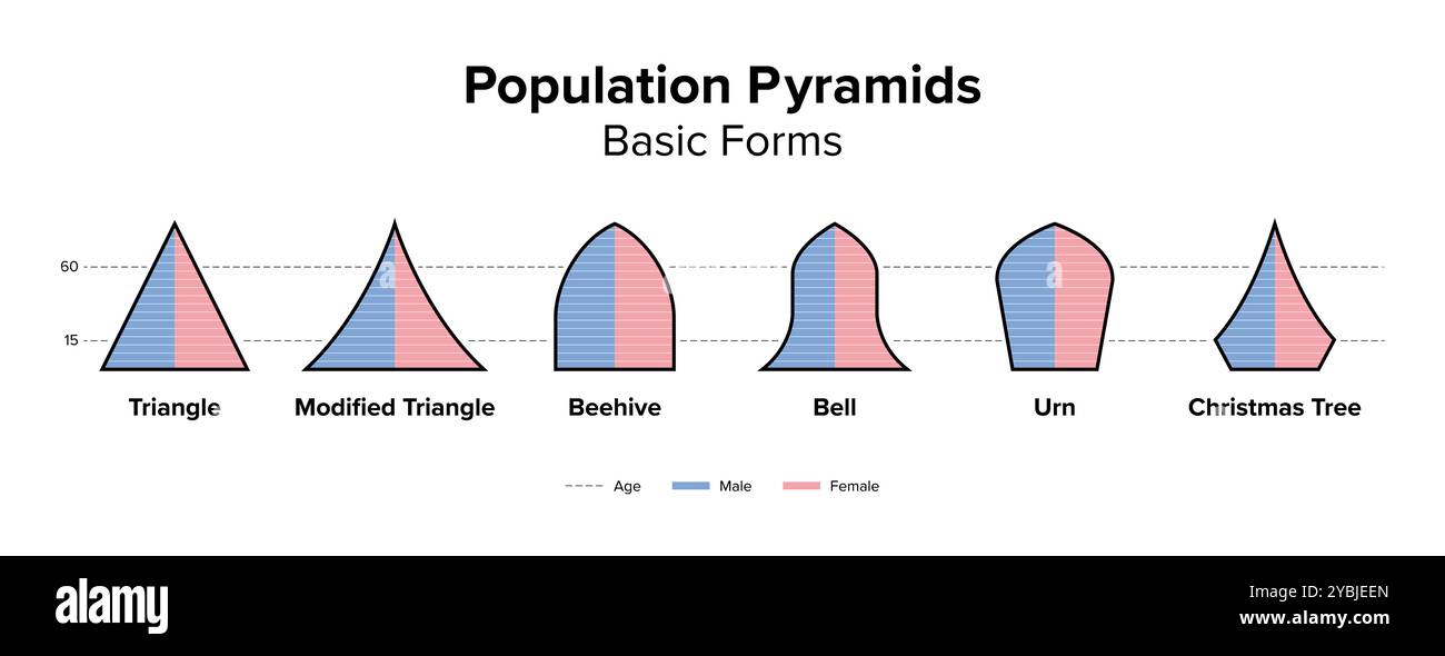 Forme di base delle piramidi di popolazione. Diagramma della struttura dell'età e illustrazione grafica della distribuzione delle persone. Foto Stock