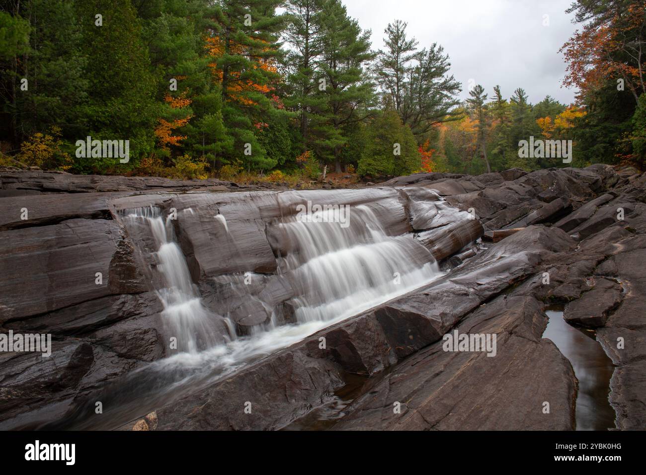 Cascate Wilson a Muskoka, Ontario, Canada. Foto Stock