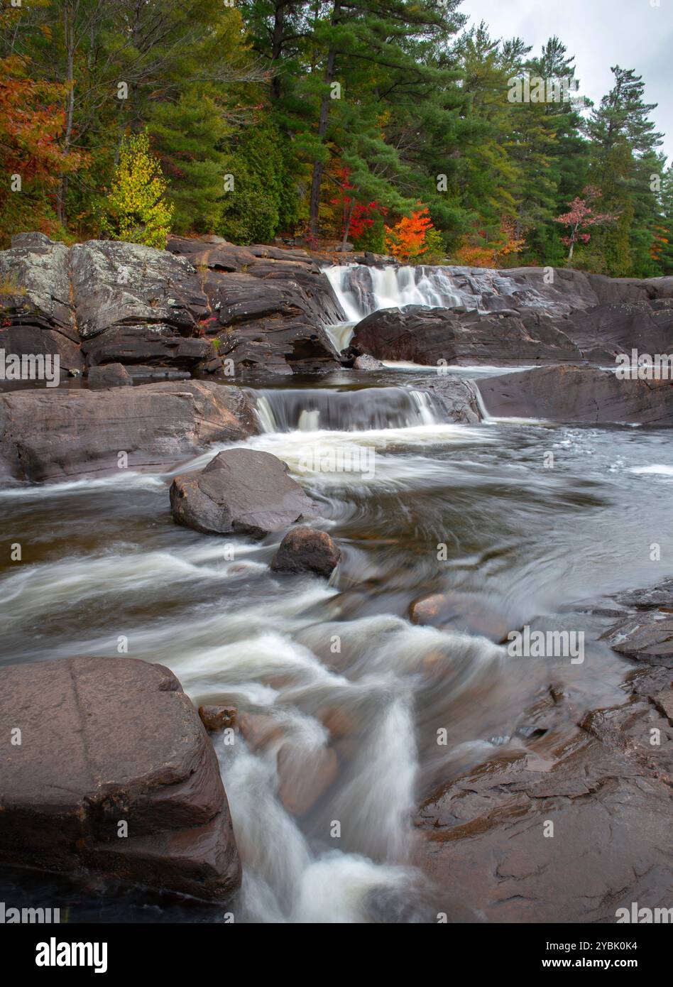 Cascate Wilson a Muskoka, Ontario, Canada. Foto Stock