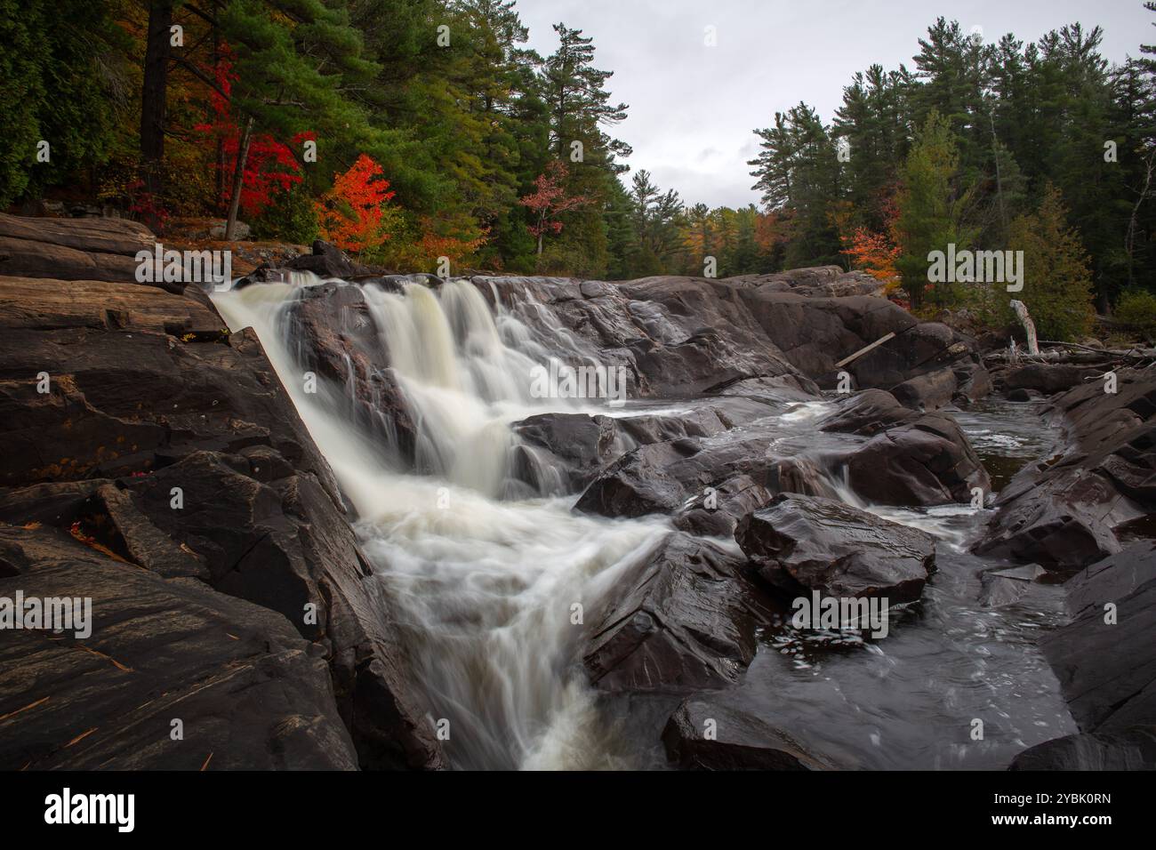 Cascate Wilson a Muskoka, Ontario, Canada. Foto Stock