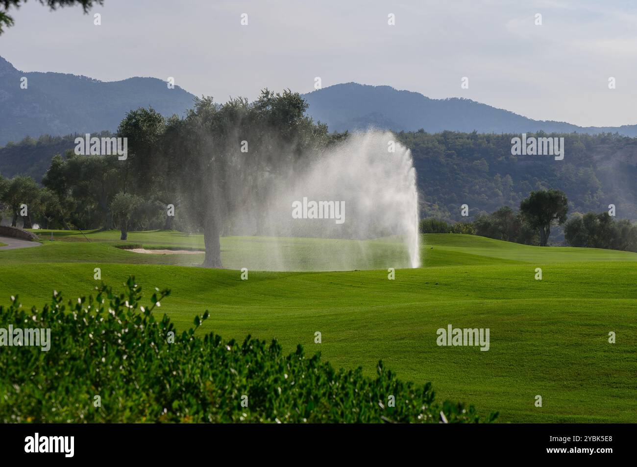 Un tranquillo campo da golf presenta un vivace paesaggio verde dove uno spruzzatore spruzza acqua, creando una rinfrescante nebbia sullo sfondo di maestosi m Foto Stock
