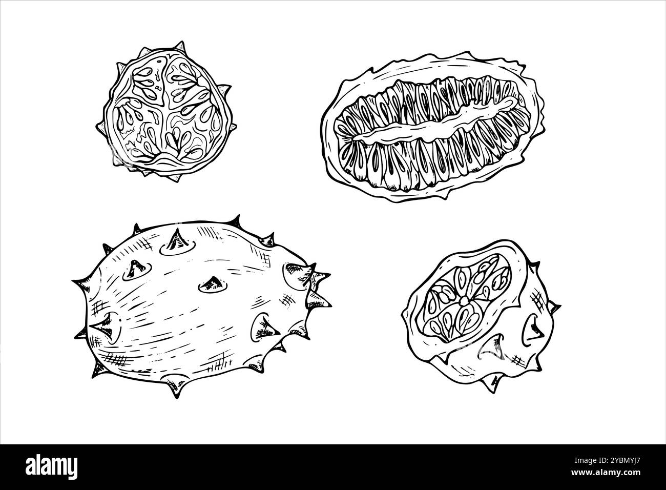 Set di illustrazioni isolate di kiwano melone a punta, dipinte da inchiostri neri. Intera, mezza e fetta di esotica pianta tropicale di cetrioli dalle corna Illustrazione Vettoriale