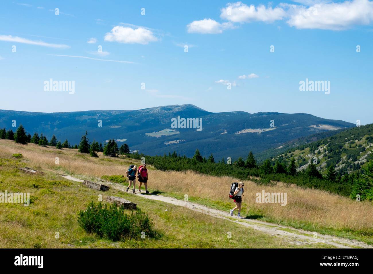 I Monti Giganti Krkonose Karkonosze Riesengebirge, Parco Nazionale, Repubblica Ceca, Europa europea, paesaggio rurale Foto Stock