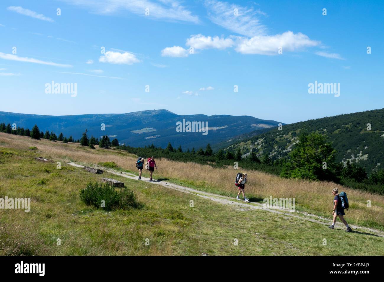 I Monti Giganti Krkonose Karkonosze Riesengebirge, Parco Nazionale, Repubblica Ceca, Europa europea, paesaggio rurale Foto Stock